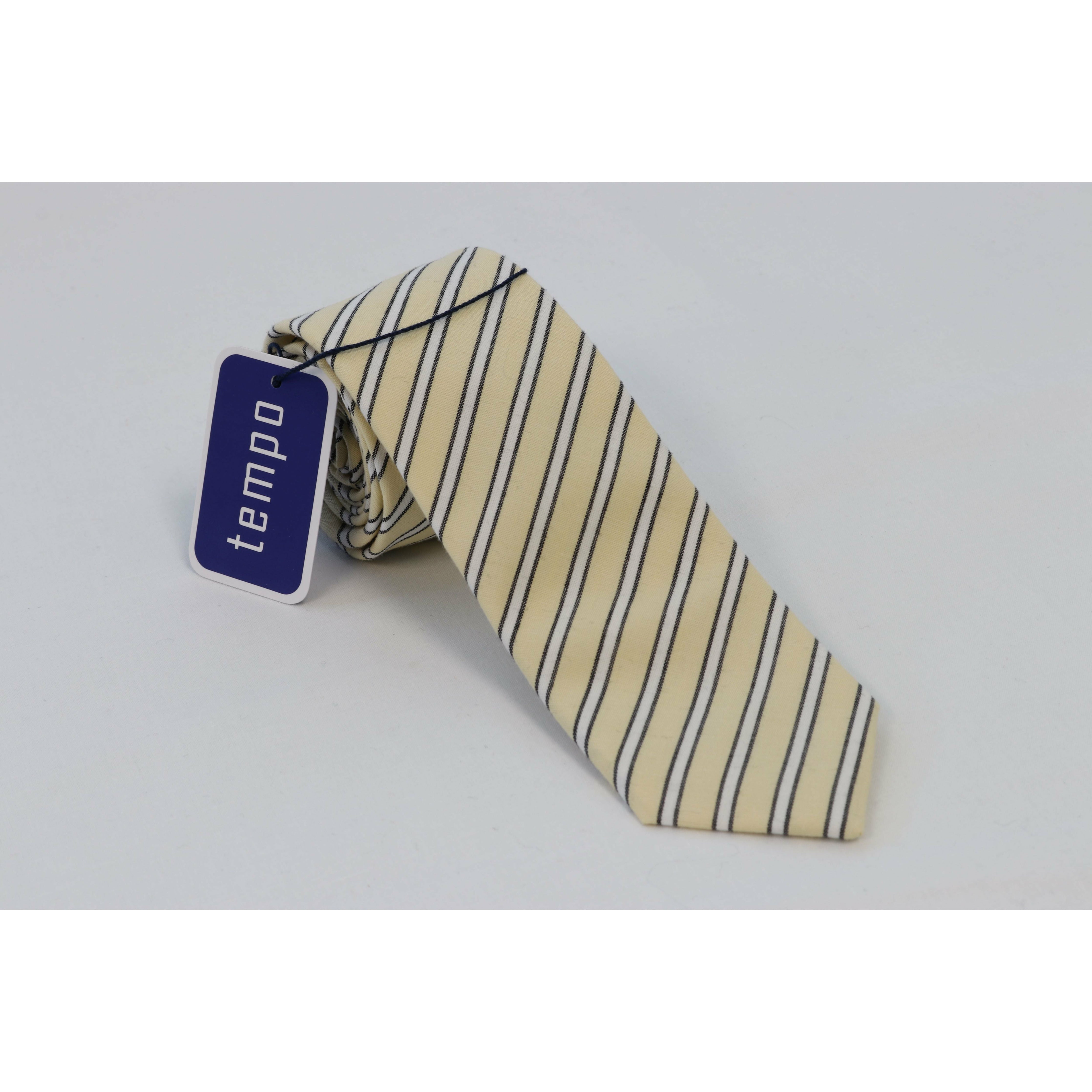 Boy's Tempo Slim Tie